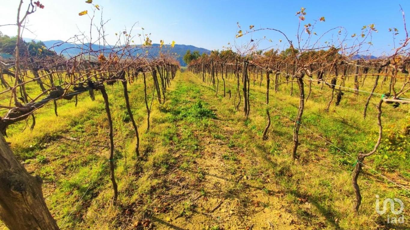 Podere Mona Pomarance Buitenkant foto